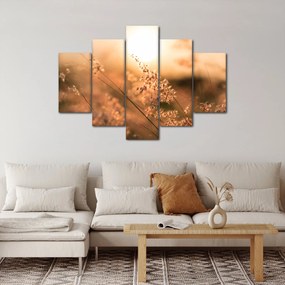 Kép - Fű a napon (150x105 cm)