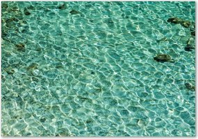 Üveg falpanel Átlátszó víz Ragasztó Ingyenes