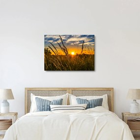 A mező naplementekor képe (70x50 cm)