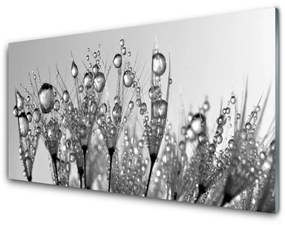 Akril üveg kép Absztrakció Nature Plant 120x60 cm