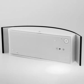 Kültéri fali lámpa 1xE27/14W/230V IP44 fekete