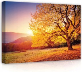 Vászonkép 70x50 Őszi táj naplemente arany fény magányos fa