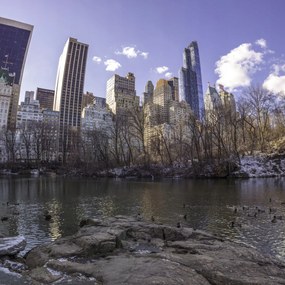 Poszter 100x100cm Alsó-Manhattan panoráma a Central Parkból, Assaf Frank