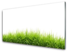 Modern üvegkép Grass Nature Plant 125x50 cm