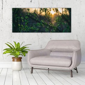 A ragyogó nap képe a fák gallyain keresztül (120x50 cm)