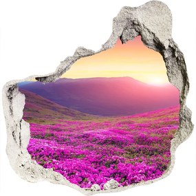 3d lyuk fal dekoráció Rózsaszín domb nd-p-72586785