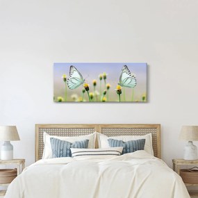 Pillangók eképe a virágon (120x50 cm)