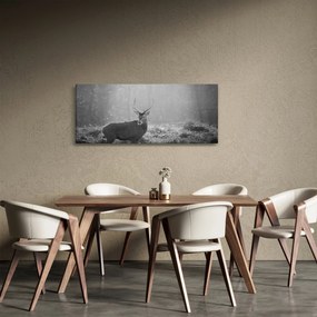 Kép - Szarvas az erdőben, fekete-fehér (120x50 cm)