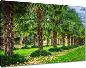 Festmények 100x70 Tájkép