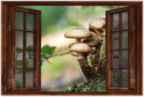 Poszterek 90x60 Gomba az erdőben Közelkép