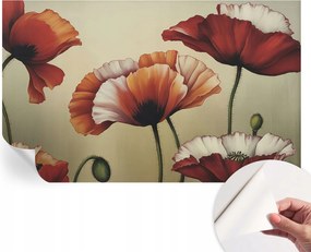 Dekoratív öntapadós fotótapéta Hálószobába Vidám pipacsok 416x254 cm