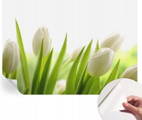 Dekoratív Öntapadós Tapéta Divatos Minták Fehér tulipánok 208x146 cm