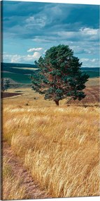 Vászonkép Gabonamező Természet Felhők Tájkép 60x120 cm