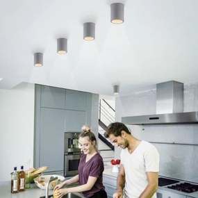 Paul Neuhaus 6160-22 - Spotlámpa ETON 1xGU10/10W/230V