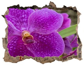 3d-s lyukat fali matrica Orchidea nd-k-64607986