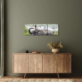 Kép - Fürdőző elefánt (órával) (90x30 cm)