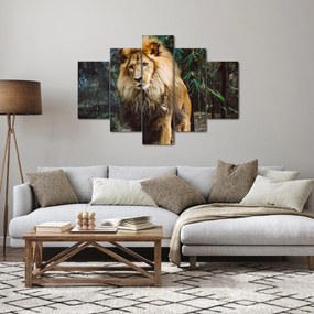 Oroszlán a vadonban (150x105 cm)