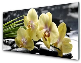 Modern üvegkép Virág növény természet 100x50 cm