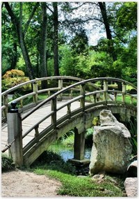 Poszterek 70x100 Fa híd