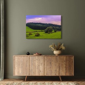 Rét képe (90x60 cm)