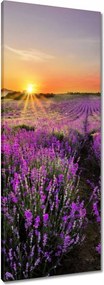 Vászonkép 40x100 Levendula rét
