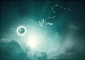 Fotótapéta űr űrhajós fotótapéta 254 x 184