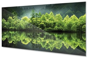 Wallplex konyhahátfal Smaragd Erdő (Méret: 60x180)