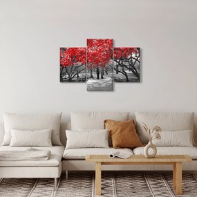 Kép - vörös fák,Central Park, New York (90x60 cm)