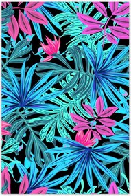 Poszterek 80x120 Trópusi összeállítás