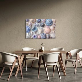 Kép - Kagylógyűjtemény (90x60 cm)