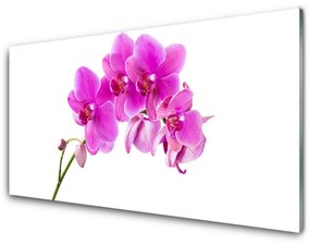 Modern üvegkép Orchidea virág orchidea 100x50 cm