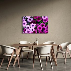 Kép - Virágok (90x60 cm)