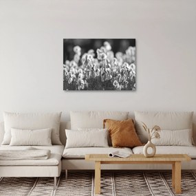 Kép - Nyári rét (70x50 cm)