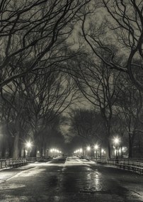 Poszter 29,7x42cm Éjszakai kilátás a Central Parkon át vezető útra, Assaf Frank