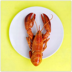 Poszterek 30x30 Konyhai poszter Forradalmak