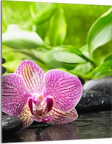 Üveg Vágódeszka 40x52 Orchidea Konyha