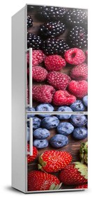Dekor matrica hűtőre Erdei gyümölcsök FridgeStick-70x190-f-89347182