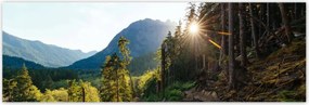 Poszterek 200x66 Hegyek Napfény Erdő Ösvény