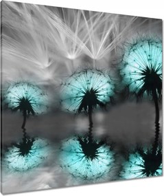 Vászonkép 80x80 Türkiz pitypangok Víz