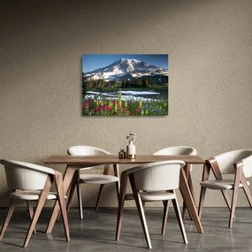 Üveg kép - Mount Rainier (70x50 cm)