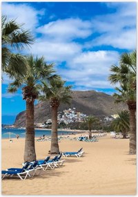 Poszterek 70x100 Nagy pálmafák a tengerparton