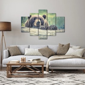Medve képe (150x105 cm)