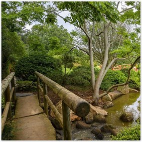 Poszterek 70x70 Japán kert Japán