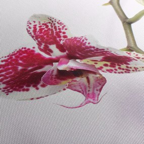 Orchidea virág képe (órával) (90x30 cm)