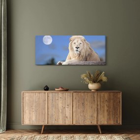 Kép - Fehér oroszlán (120x50 cm)