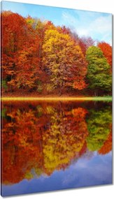 Festmények 80x120 Őszi táj