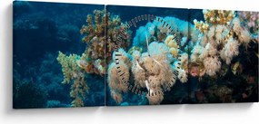 Kép - Az óceánban (órával) (90x30 cm)