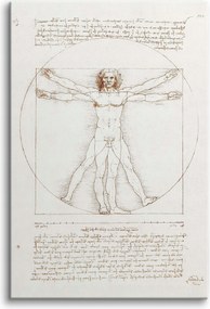 Leonardo Da Vinci reprodukció Vászonkép Vitruvius ember 60x90