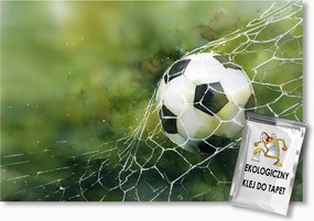 Fotótapéta Flizelina Sport Gyerekek Labdarúgás Mérkőzés Kapu 300x210 ragasztó