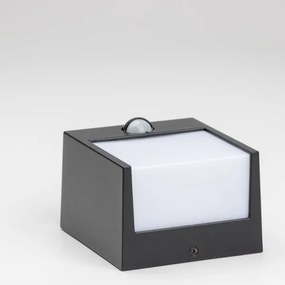 Brilagi-LED kültéri fali lámpa szenzorral TERNI LED/12W/230V fekete IP44